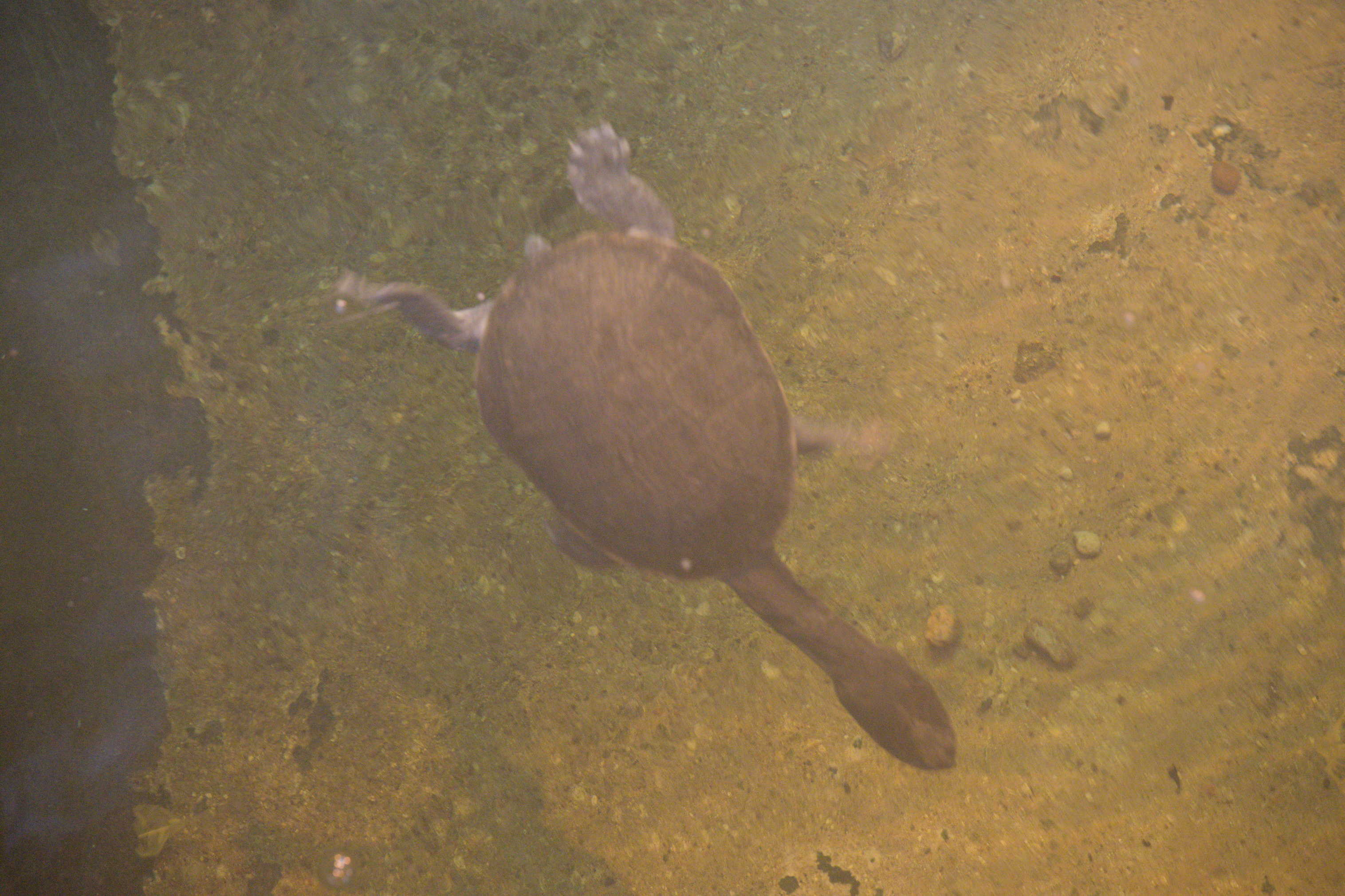 2025/10/12 - zoo/DSC_0149.jpg